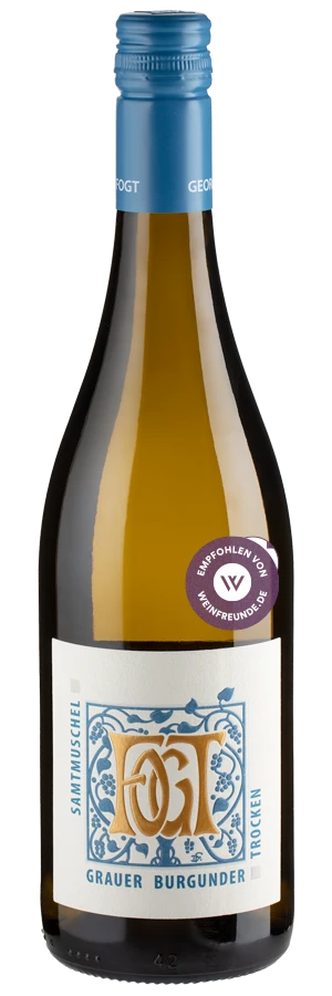 Samtmuschel Grauer Burgunder Trocken 1 Samtmuschel Grauer Burgunder Trocken