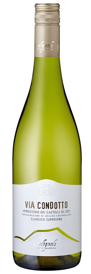 Via Condotto Verdicchio Dei Castelli Di Jesi 1 Via Condotto Verdicchio Dei Castelli Di Jesi