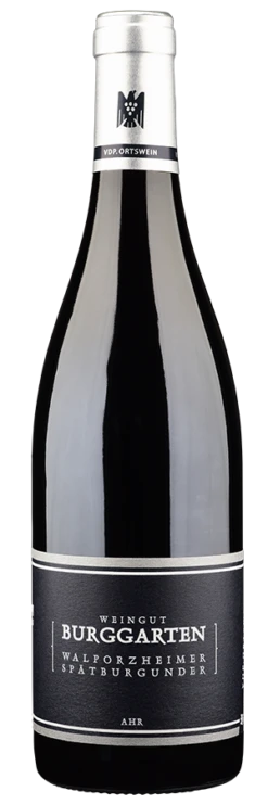 Spätburgunder Classic Trocken