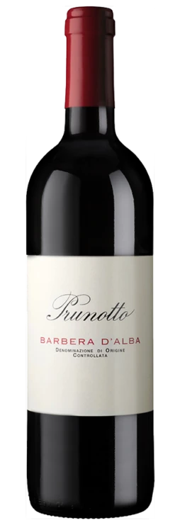 Barbera D'Alba
