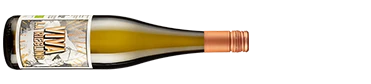 Viva La Riesling Trocken (Bio) 2 Viva La Riesling Trocken (Bio) – Bild 2