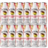 Malibu Watermelon Fizz 10% 12x 0,25l Dose